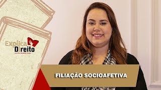 Explica Direito Filiação Socioafetiva  2019 [upl. by Marissa]