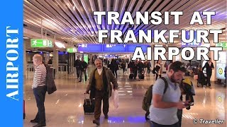 TRANSIT WALK AT FRANKFURT Airport FRA Terminal 1  Connection Flight Transfer Arriving amp Departing [upl. by Leunad]